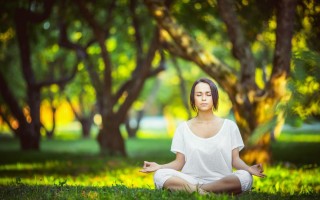 竞彩网_亚足联顶级联赛2025赛季冠军荣耀全景回顾