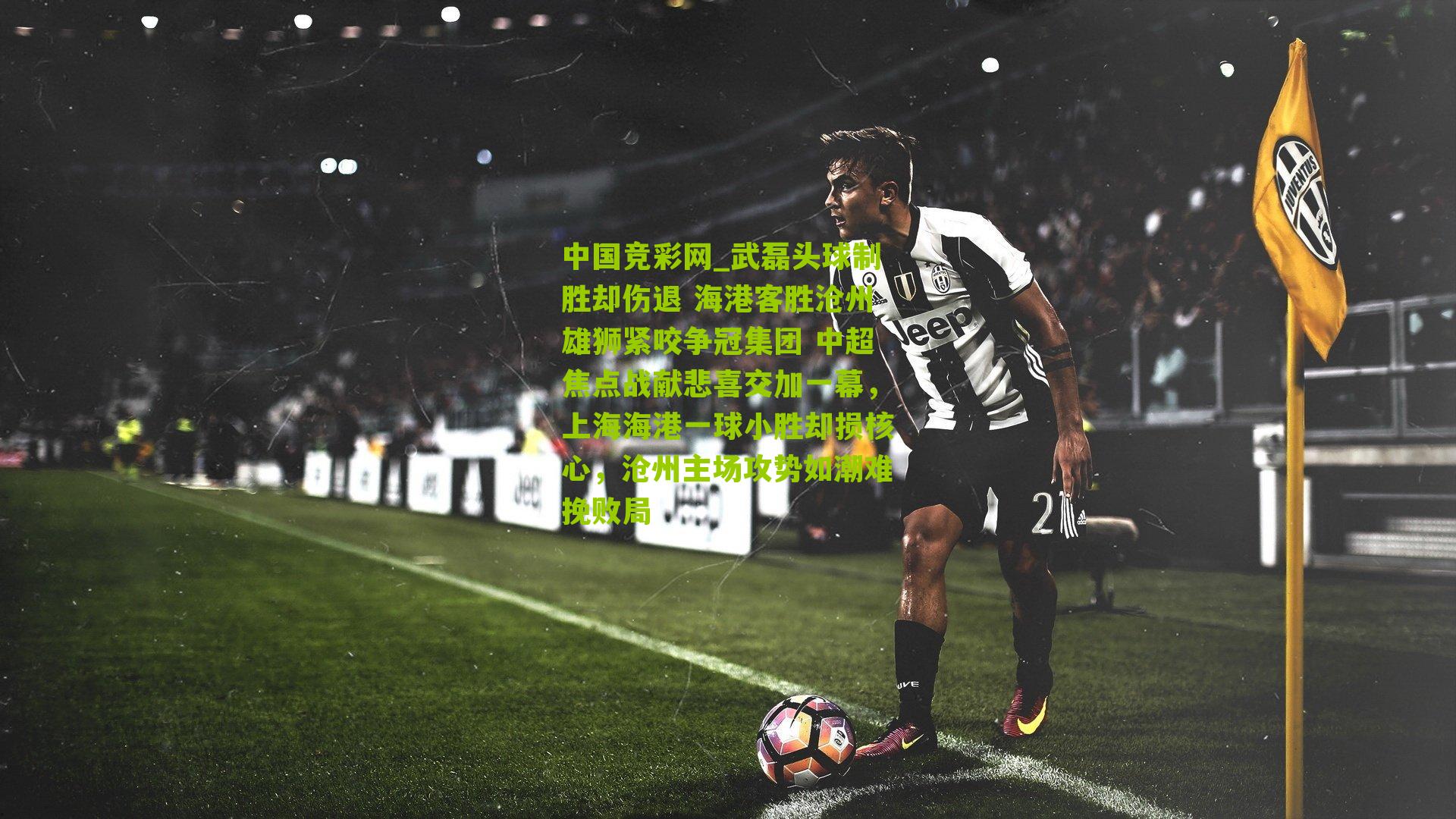 中国竞彩网_武磊头球制胜却伤退 海港客胜沧州雄狮紧咬争冠集团 中超焦点战献悲喜交加一幕，上海海港一球小胜却损核心，沧州主场攻势如潮难挽败局-第1张图片-竞彩-china lottery